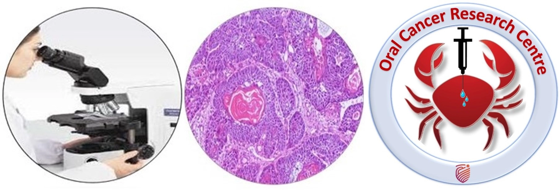 research_microscope_with_pentahead_attachment1