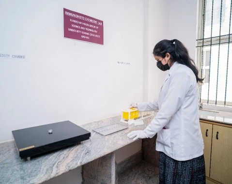 Immunohistochemistry set-up