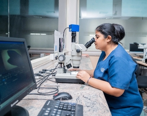 Steriomicroscope