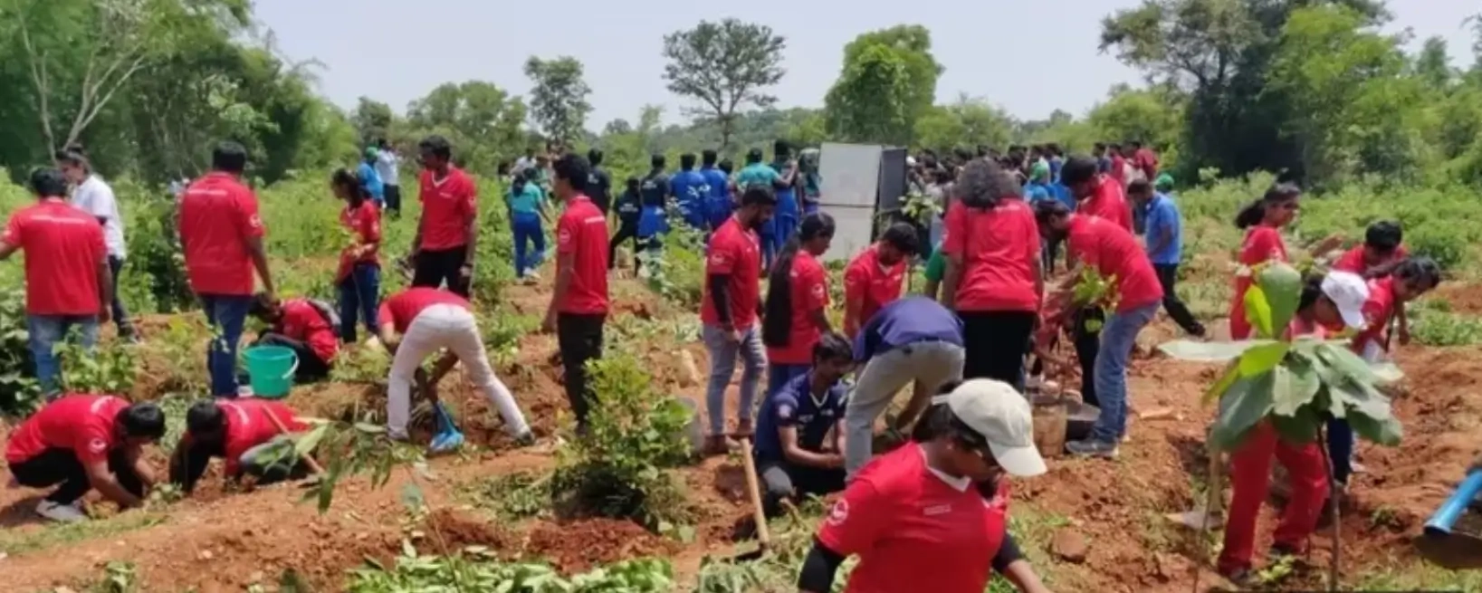 World-Environment-Day