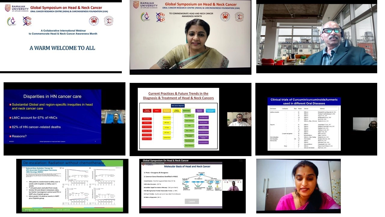 Collaborative International Webinar
