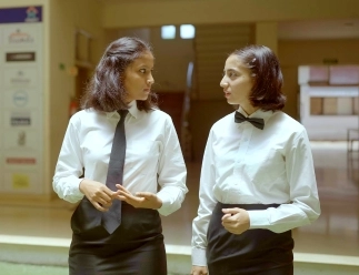 program-career