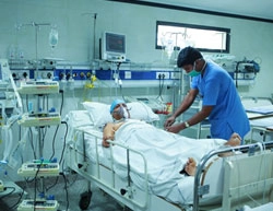 Critical Care Nurse - B.Sc. Nursing