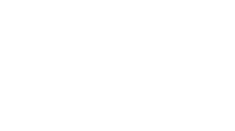 img-fluid