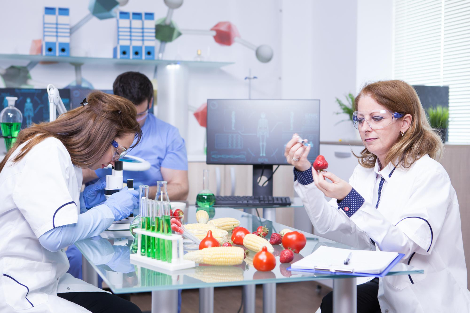Food Technology Courses After 12th