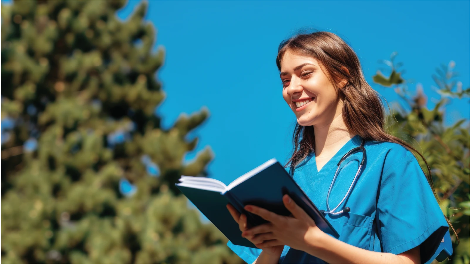 p.b.b.sc nursing syllabus
