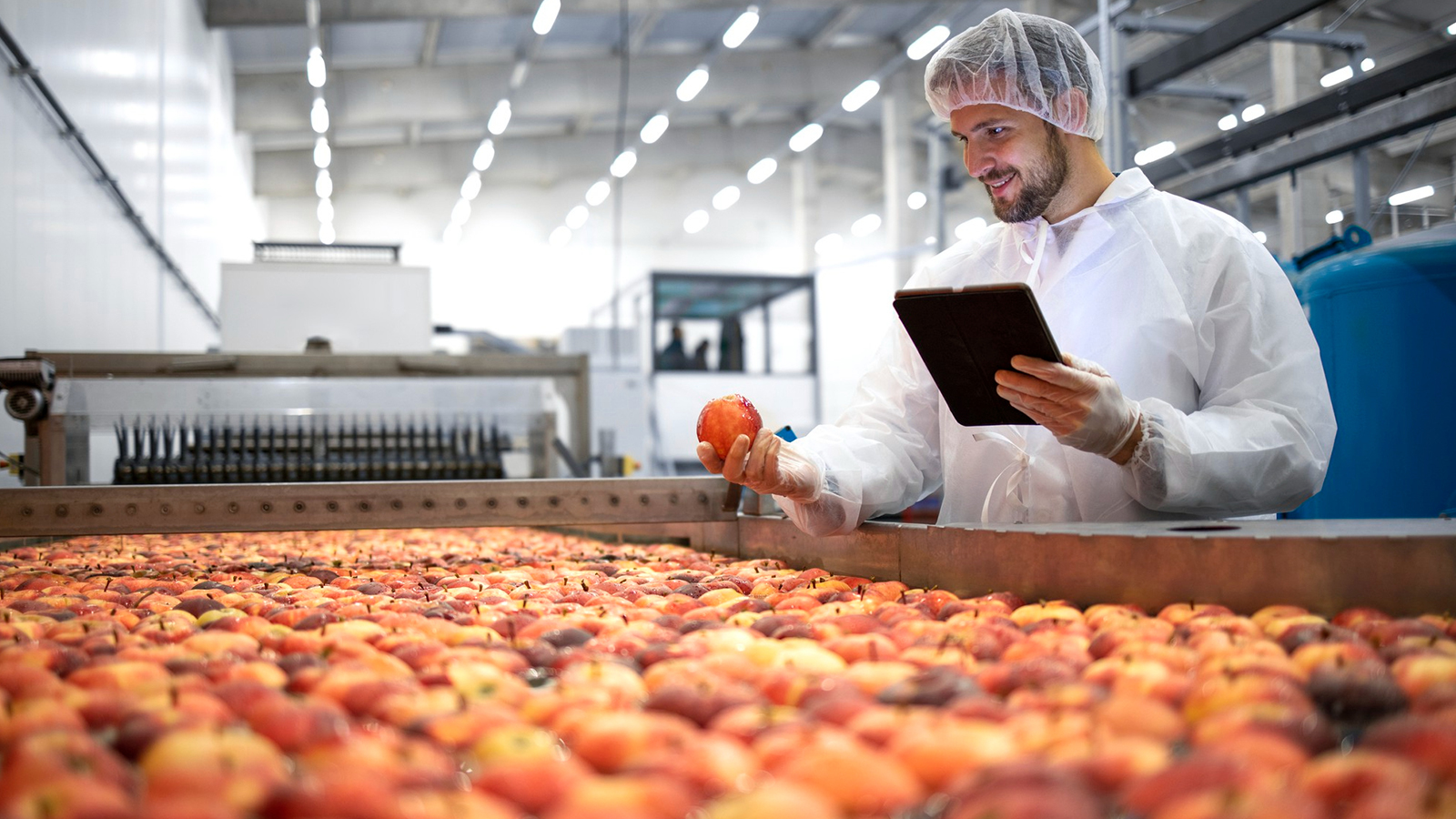 food processing and technology
