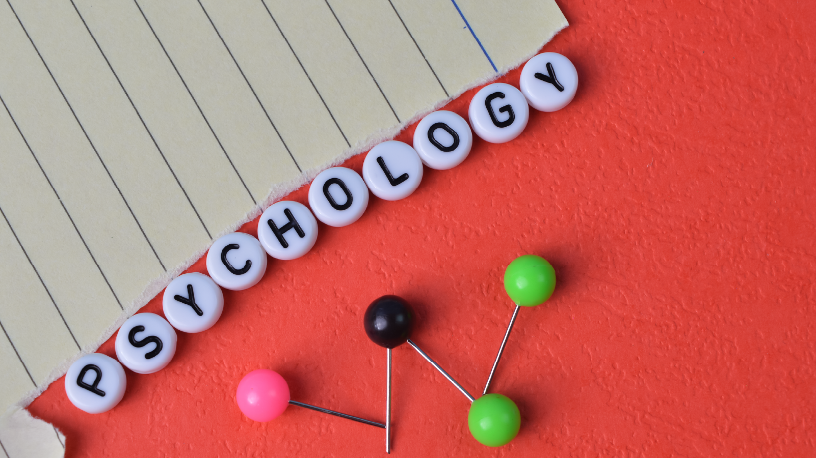 BSc Hons Psychology