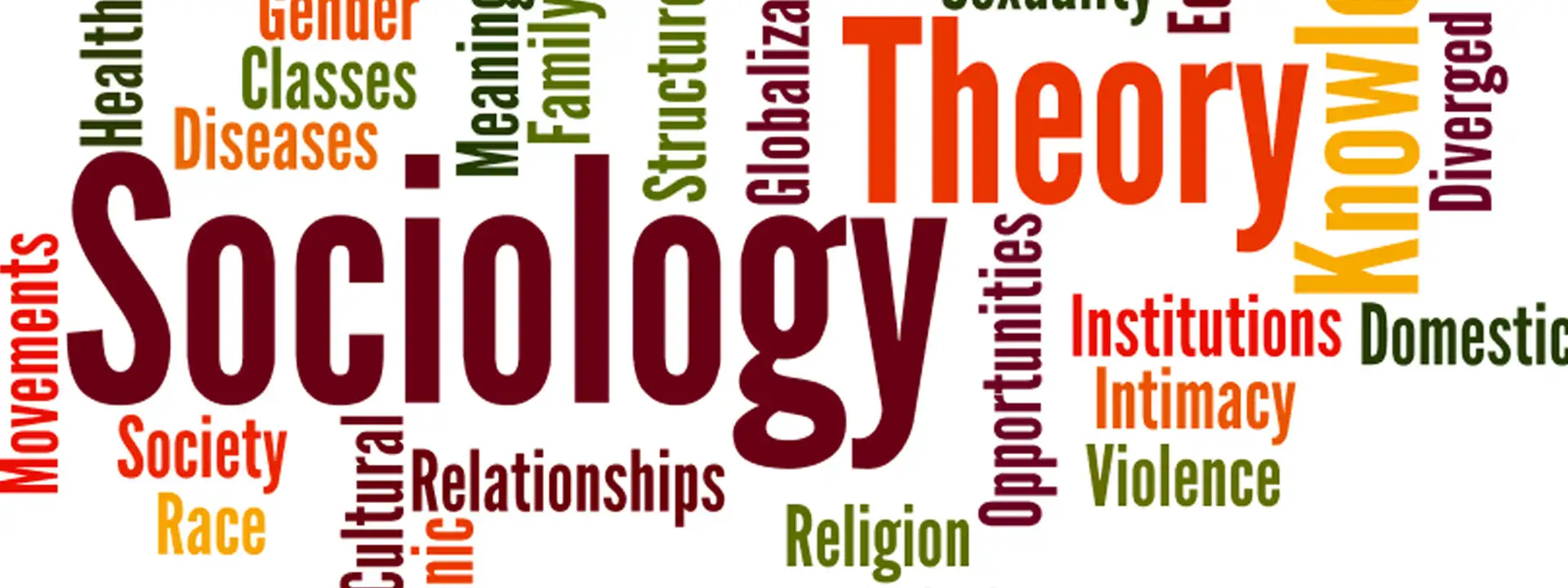 Department of Sociology