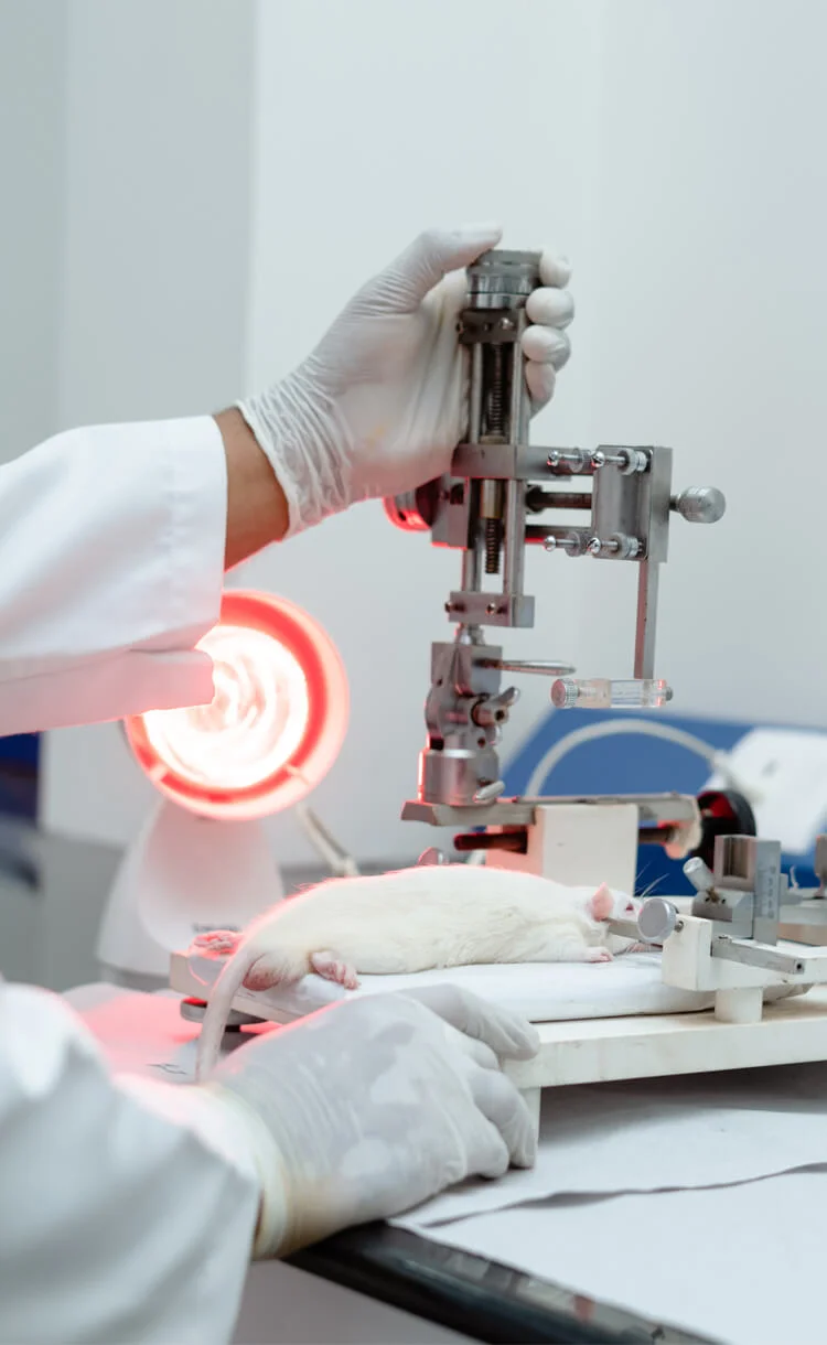 Department of Pharmacology