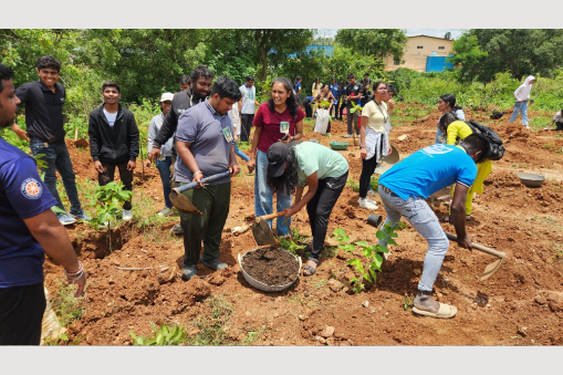 501 Green Sunday Plantation Drive