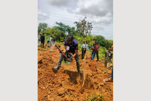 501 Green Sunday Plantation Drive