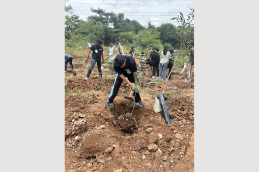 501 Green Sunday Plantation Drive
